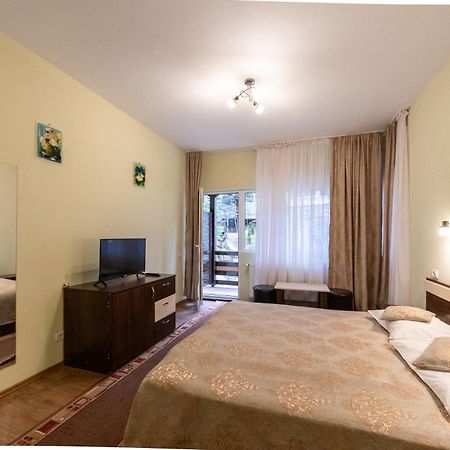 Pension Master Sinaia Room photo