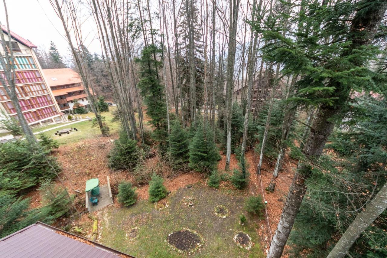 Pension Master Sinaia Exterior photo